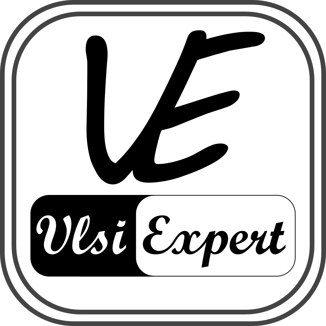 VLSI EXPERT®